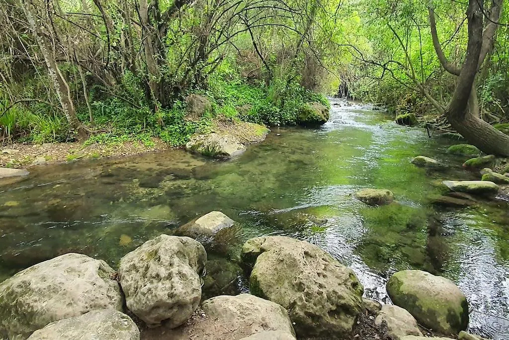 Apartmán La Terracita Del Bosque El Bosque (Cadiz)