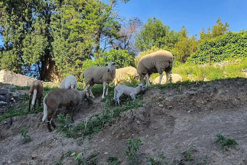 Apartmán La Terracita Del Bosque Španělsko