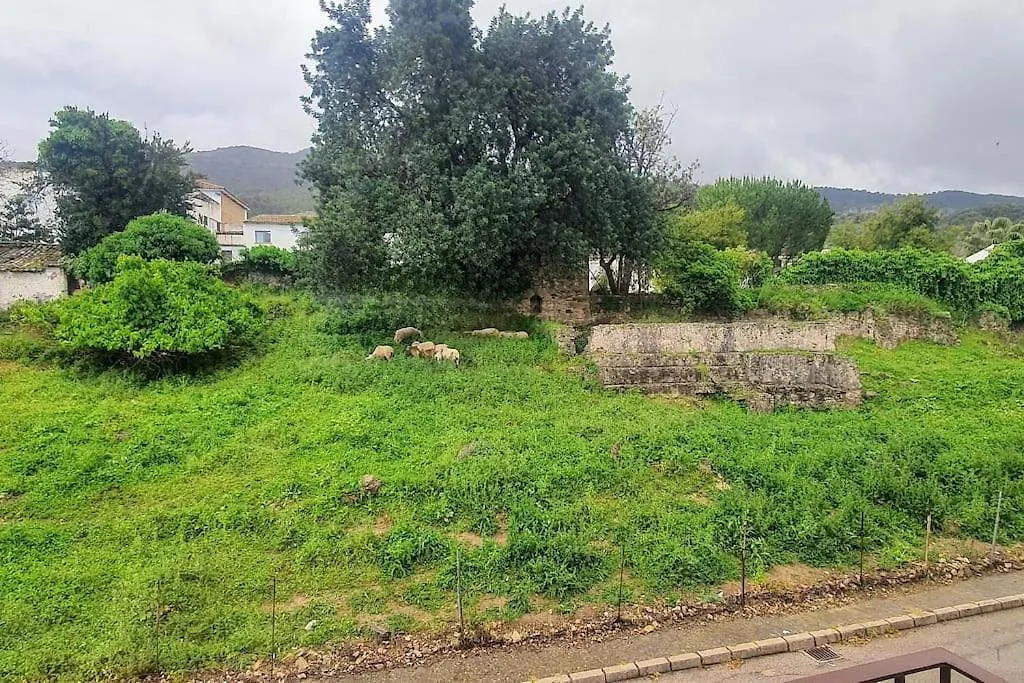 La Terracita Del Bosque Apartment Spain