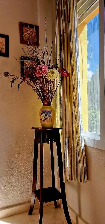 Apartamento La Terracita Del Bosque 0*, El Bosque (Cadiz)